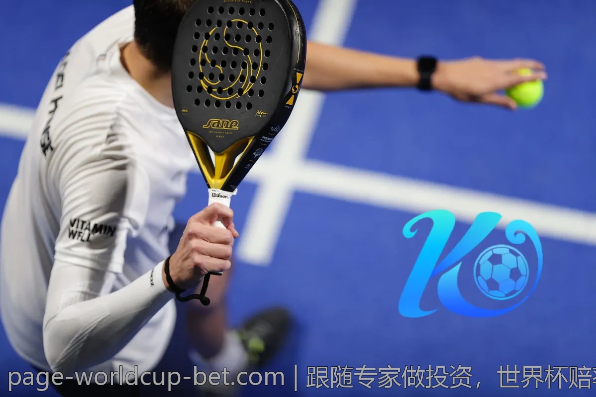 跟随专家做投资，世界杯赔率分析必读