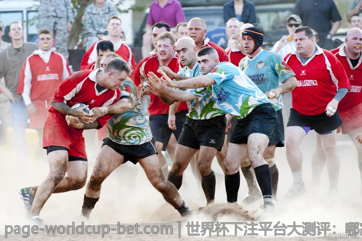 世界杯下注平台大测评：哪家更值得信赖？