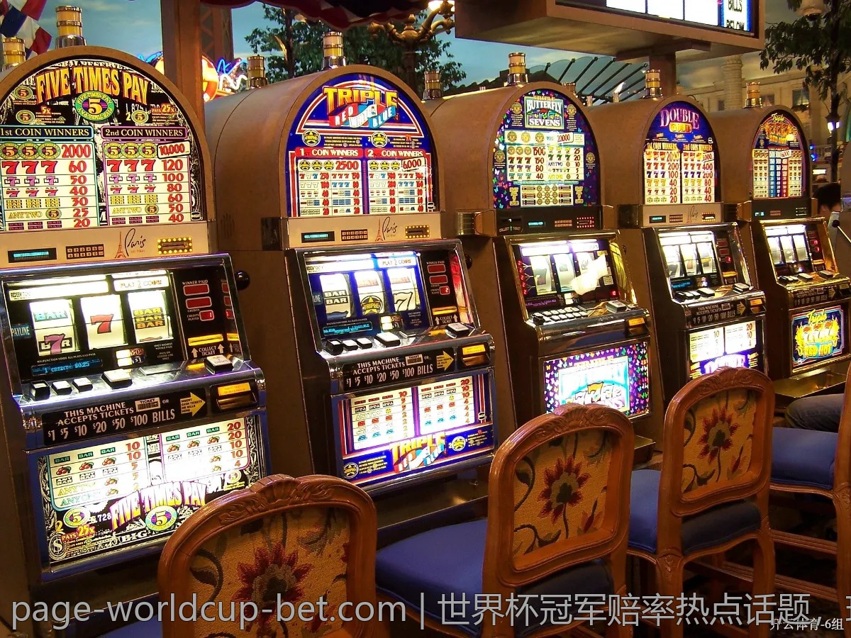 世界杯冠军赔率热点话题，球迷反响如何？
