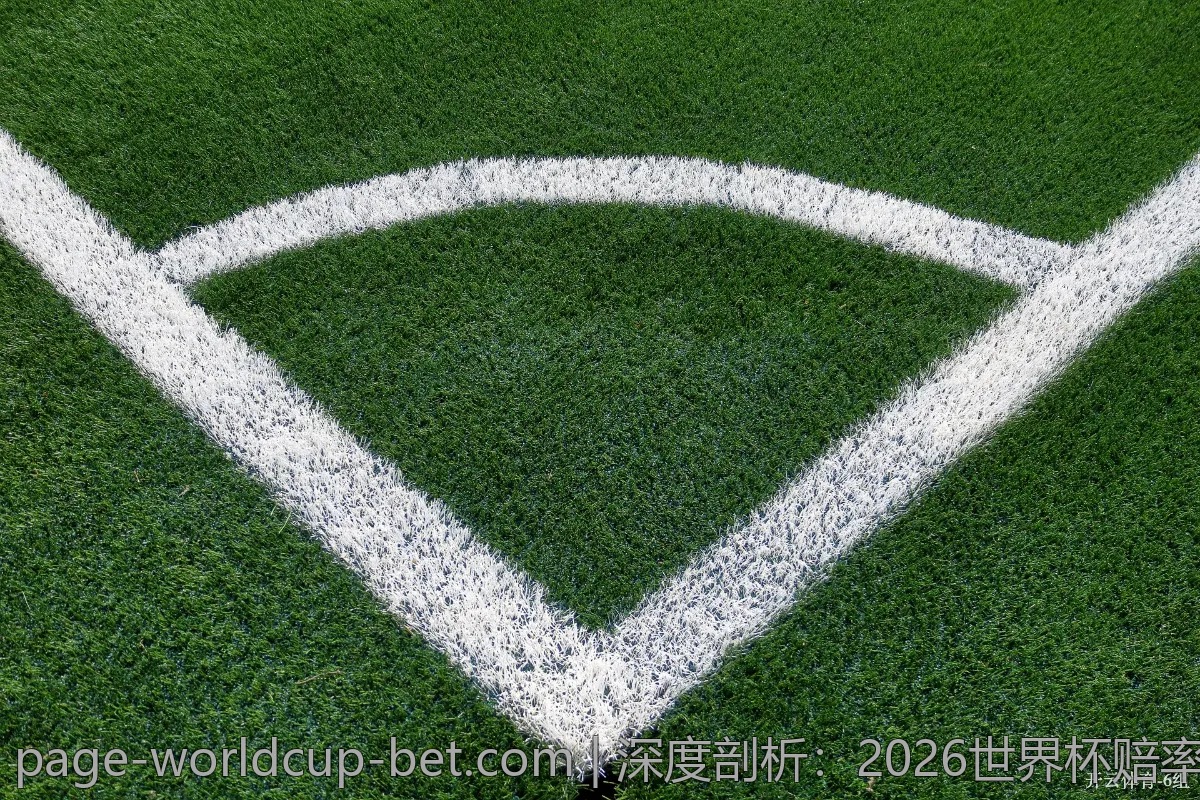 深度剖析：2026世界杯赔率与团队实力的关系