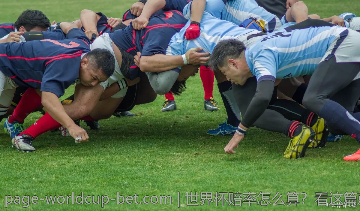 世界杯赔率怎么算？看这篇就够了！