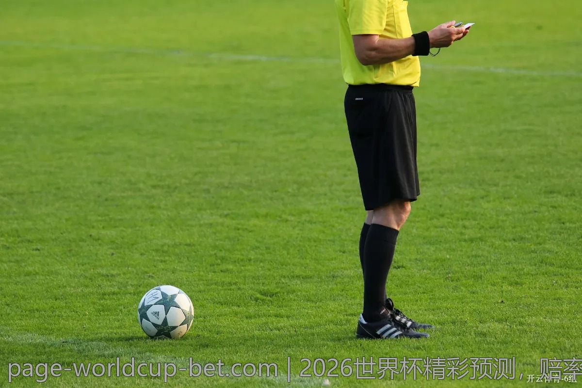 2026世界杯精彩预测，赔率数据带你飞