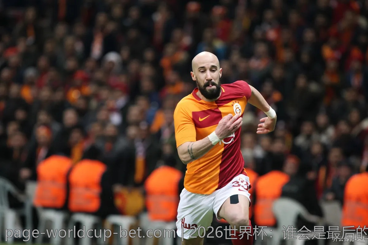 2026世界杯：谁会是最后的赢家？赔率分析推荐