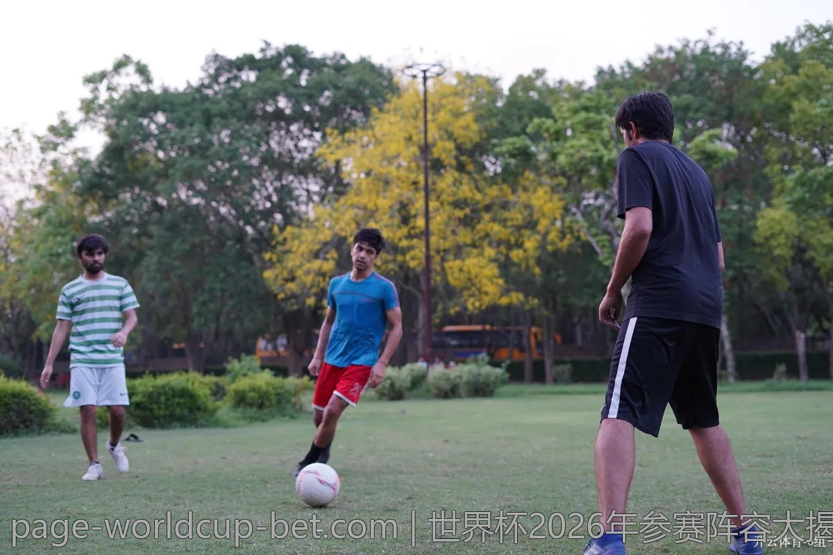 世界杯2026年参赛阵容大揭秘，你支持的球队能否晋级？