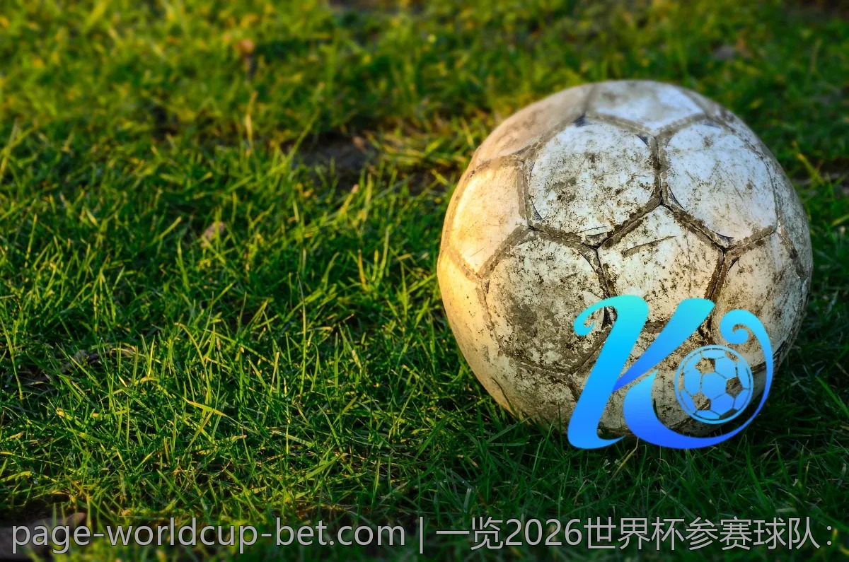 一览2026世界杯参赛球队：你最看好的哪支？