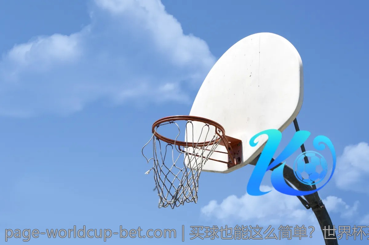 买球也能这么简单？世界杯买球网站全解析