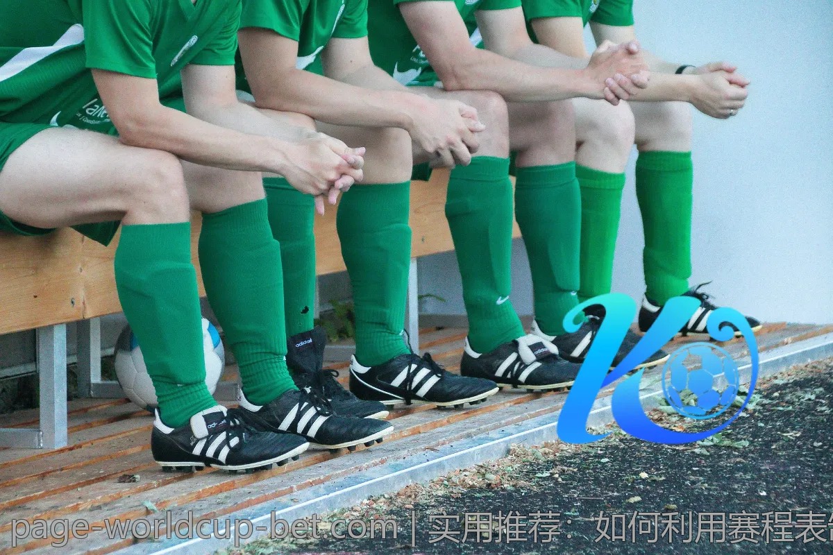 实用推荐：如何利用赛程表制定你的观赛计划