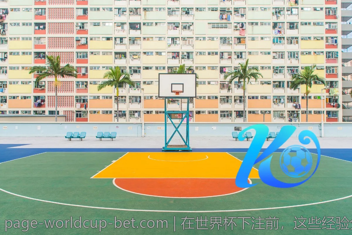 在世界杯下注前，这些经验分享不可错过