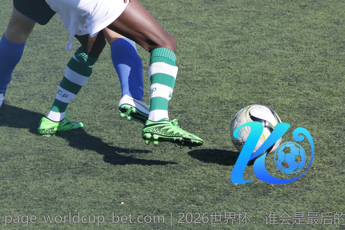 2026世界杯：谁会是最后的赢家？赔率分析推荐